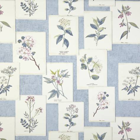 Prestigious Textiles Charterhouse Fabrics Journal Fabric - Chambray - 5756/765