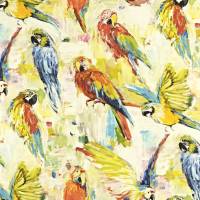 Macaw Fabric - Tropical