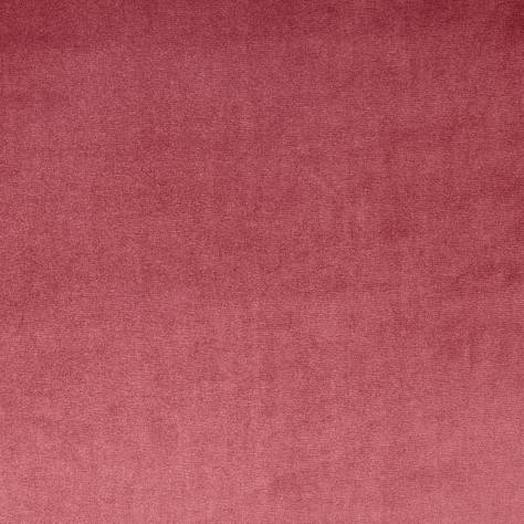 Prestigious Textiles Velour Fabrics Velour Fabric - Rosebud - 7150/210