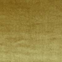 Velour Fabric - Gold