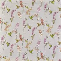 Humming Bird Fabric - Rose Quartz