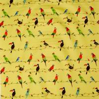 Toucan Talk Fabric - Zest