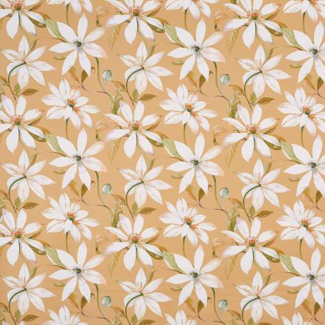 Prestigious Textiles Bloom Fabrics Olivia Fabric - Harvest - 8673/120