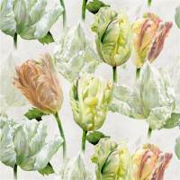 Spring Tulip Fabric - Buttermilk