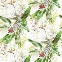 Paradise Row Fabric - Evergreen