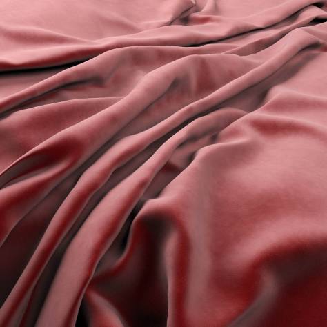 Warwick Plush Velvet III Fabrics Plush Velvet Fabric - Shiraz - PLUSHVELVETSHIRAZ