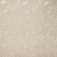 Dolomite Fabric - Sandstone