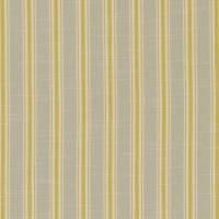 Thornwick Fabric - Citrus