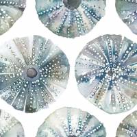 Sea Urchins Fabric - Slate