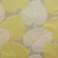Lucca Fabric - Gold