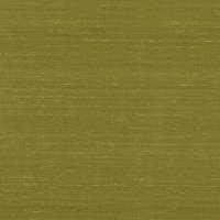 Lilaea Silks - Kiwi
