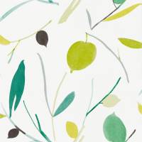 Oxalis Wallpaper - Kiwi / Juniper