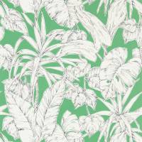 Parlour Palm Wallpaper - Gecko