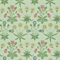 Daisy Wallpaper - Pale Green/Rose