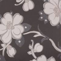 Lotus Flower Wallpaper - Noir