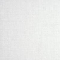 Nico Wallpaper - Parchment