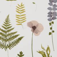 Herbarium Wallpaper - Blush