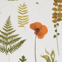 Herbarium Wallpaper - Multi / Ivory