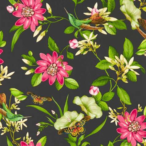 Wedgwood Botanical Wonders Wallpapers Pink Lotus Wallpaper - Noir - W0132/03