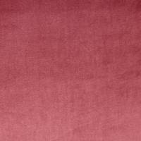 Velour Fabric - Rosebud