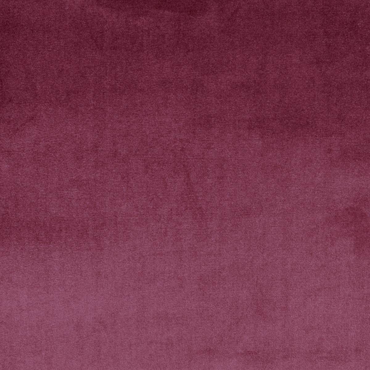 Velour Fabric - Damson (7150/305) - Prestigious Textiles Velour Fabrics ...