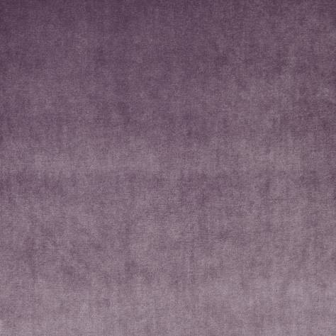 Prestigious Textiles Velour Fabrics Velour Fabric - Mulberry - 7150/314