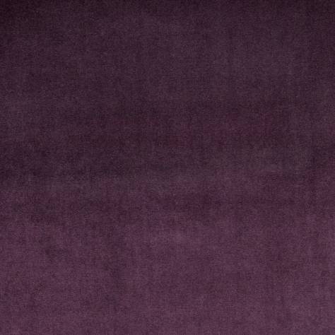 Prestigious Textiles Velour Fabrics Velour Fabric - Grape - 7150/808