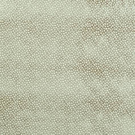 Prestigious Textiles Focus Fabrics Comet Fabric - Vellum - 3508/129