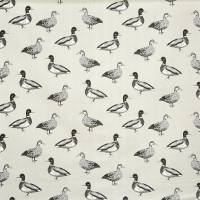 Duck Fabric - Canvas