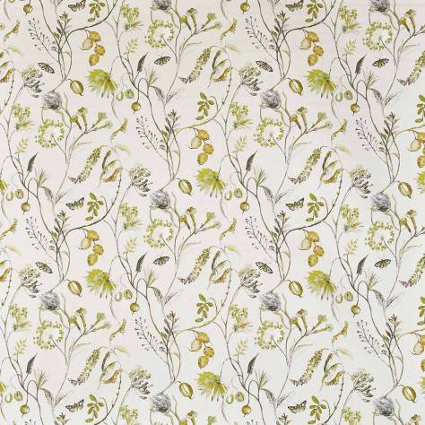 Prestigious Textiles Abbey Gardens Fabrics Grove Fabric - Fennel - 8639/281