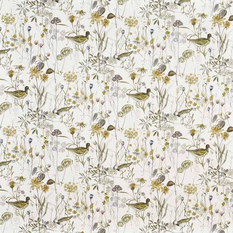 Prestigious Textiles Abbey Gardens Fabrics Wetlands Fabric - Fennel - 8641/281