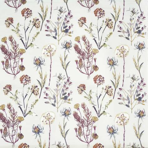 Prestigious Textiles Terrace Fabrics Allium Fabric - Blossom - 5049/211 - Image 1