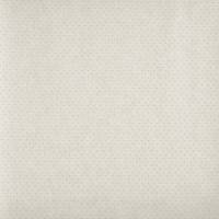 Oxford Fabric - Parchment