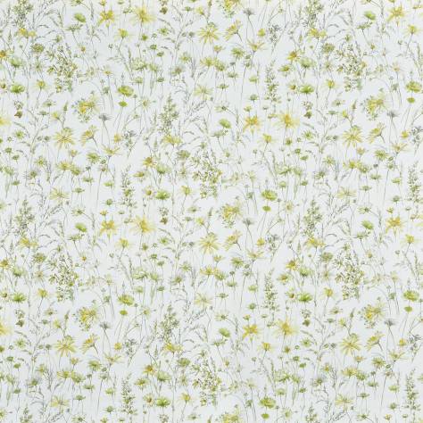 Prestigious Textiles Bloom Fabrics Marie Fabric - Primrose - 8672/509