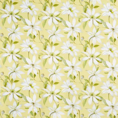 Prestigious Textiles Bloom Fabrics Olivia Fabric - Primrose - 8673/509