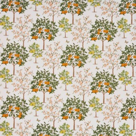 Prestigious Textiles English Garden Fabrics Lemon Grove Fabric - Pear - 8736/442 - Image 1