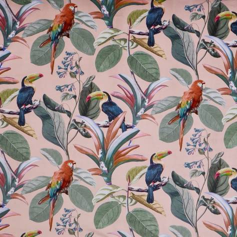 Prestigious Textiles Painted Canvas Fabrics Parrot Fabric - Coral - 4057/406 - Image 1