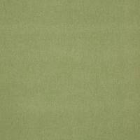 Buxton Fabric - Apple