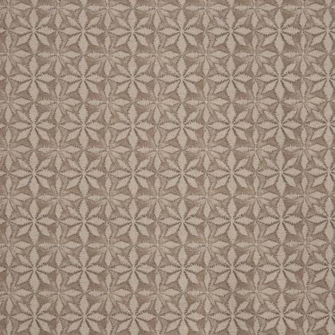 Prestigious Textiles Greenhouse Fabrics Haddon Fabric - Nutmeg - 8804/112
