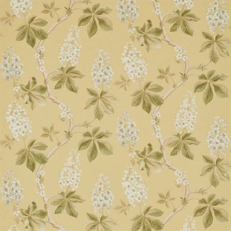 Sanderson Woodland Walk Prints & Embroideries Fabrics Chestnut Tree Fabric - Lemon/Lettuce - DWOW225516 - Image 1