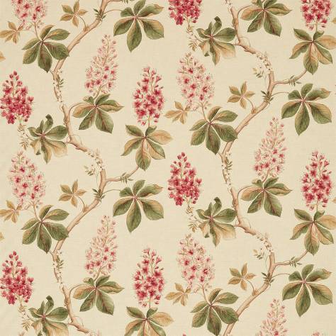 Sanderson Woodland Walk Prints & Embroideries Fabrics Chestnut Tree Fabric - Coral/Bayleaf - DWOW225517