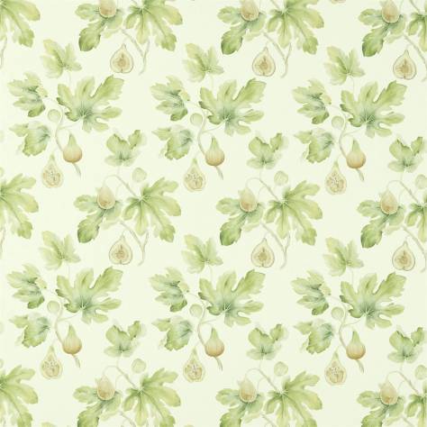 Sanderson Art of the Garden Fabrics Fig Harvest Fabric - Garden Green - DART226329