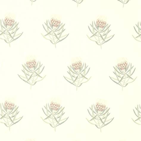 Sanderson Art of the Garden Fabrics Protea Flower Fabric - Porcelain/Orchid - DART236352 - Image 1