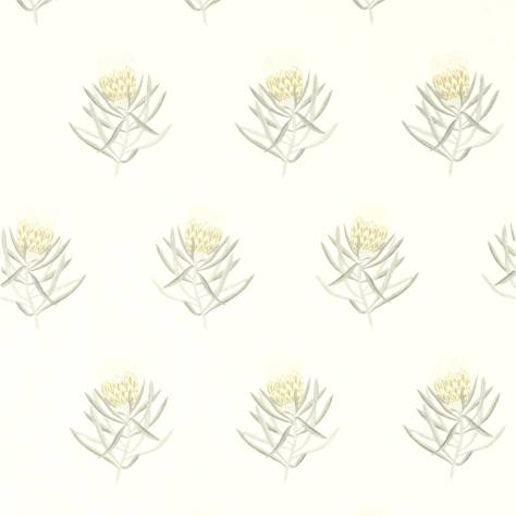 Sanderson Art of the Garden Fabrics Protea Flower Fabric - Daffodil/Natural - DART236355