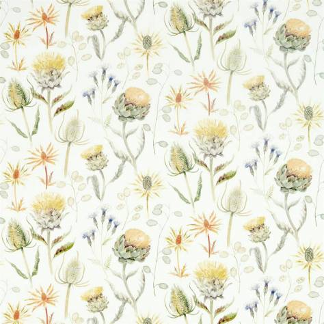 Sanderson Embleton Bay Prints & Embroideries Fabrics Thistle Garden Fabric - Ochre/Olive - DEBB226422