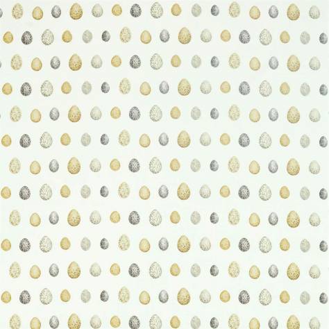 Sanderson Embleton Bay Prints & Embroideries Fabrics Nest Egg Fabric - Corn/Graphite - DEBB226424