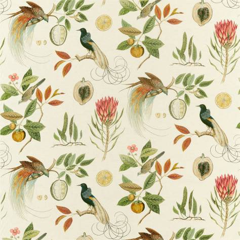 Sanderson Glasshouse Fabrics Paradesia Fabric - Orange / Olive - DGLA226564