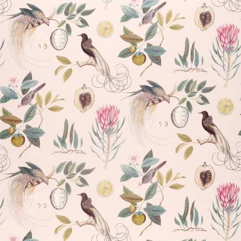 Sanderson Glasshouse Fabrics Paradesia Fabric - Orchid / Grey - DGLA226566