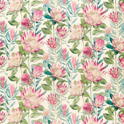 Sanderson Glasshouse Fabrics King Protea Fabric - Rhodera - DGLA226573