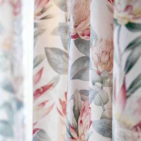 Sanderson Glasshouse Fabrics King Protea Fabric - Orchid / Grey - DGLA226574